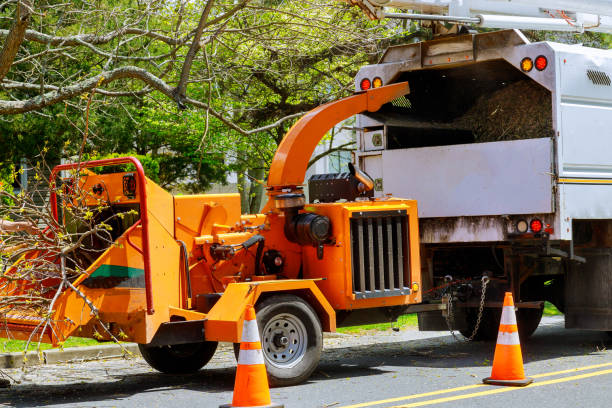 Best Utility Line Clearance  in Arroyo Seco, NM